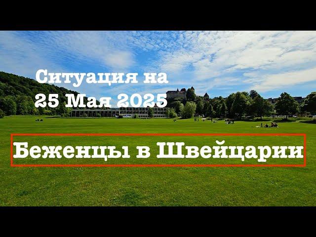 Беженцы в Швейцарии с Украины. Ситуация на Сегодня 24. 05. 2025