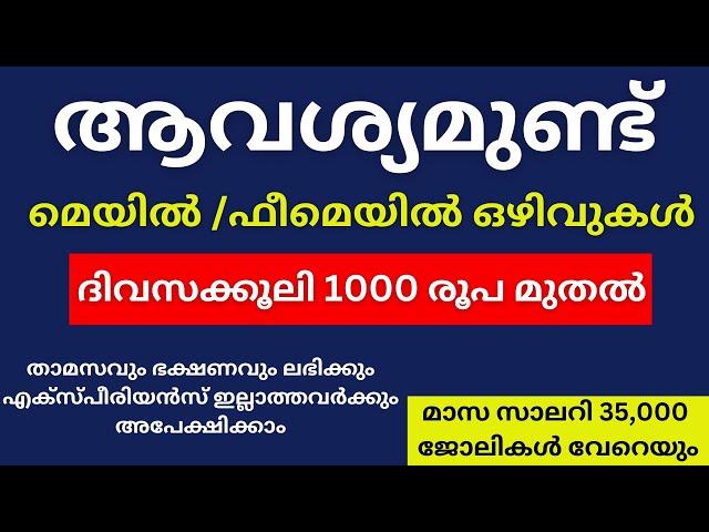 Job Vacancies 2024|2024 jobs in Kerala |Job vacancy Malayalam