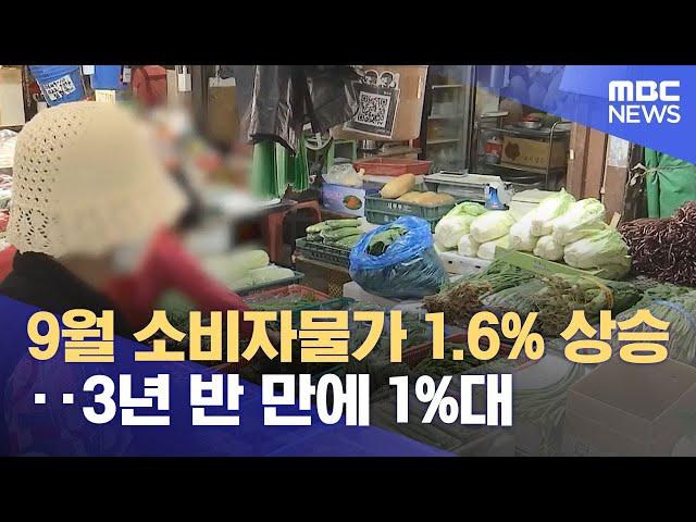 9월 소비자물가 1.6% 상승‥3년 반 만에 1%대 (2024.10.02/12MBC뉴스)