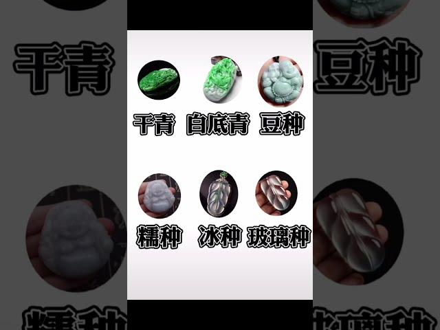 #翡翠种水分辨 #翡翠干青 #翡翠白底青 #豆种 #翡翠糯种 #翡翠冰种 #翡翠玻璃种 带你分辨翡翠中水色