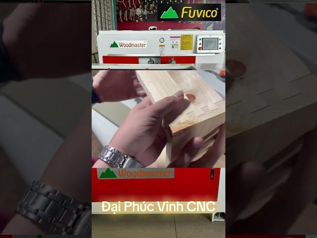 WM-600CNC Máy đánh mộng mang cá Đại Phúc Vinh CNC/ Máy chế biến gỗ/ Nội thất