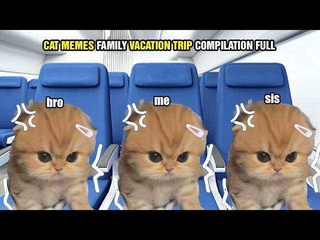 CAT MEMES FAMILY VACATION TRIP COMPILATION FULL