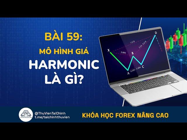 Bài 59: Mô Hình Giá Harmonic Là Gì? Đầu Tư Forex Nâng Cao | Kiếm Tiền Forex | Chứng Khoán | Bitcoin