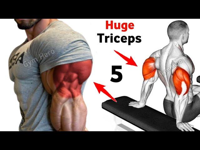 5 Exercises For Huge Triceps Workout