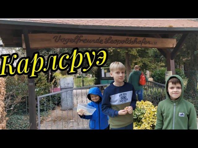 МЫ В КАРЛСРУЭ У РОДСТВЕННИКОВ. ПОСЕТИЛИ VÖGELPARK