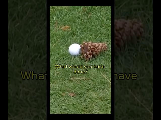 Penalty or Play It As Is?️