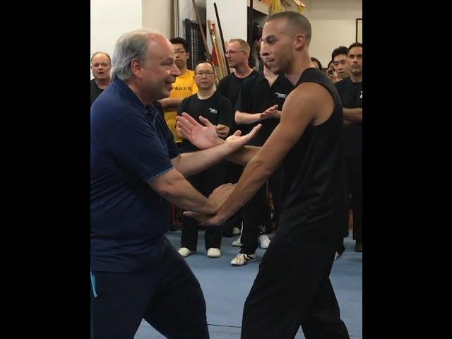 Video - Ving Tsun (Wing Chun) Seminar in Canada #wingchun #kungfu #artesmarciais #brasilia