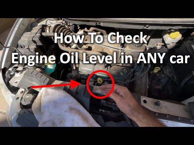 How To Check Engine Oil Level in ANY Car | The DIY Guide | Ep 317