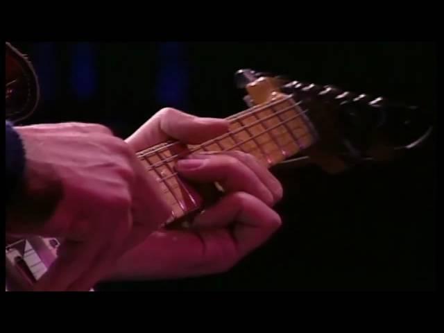 Dire Straits - Local Hero - Wild Theme LIVE (On the Night, 1993) HD