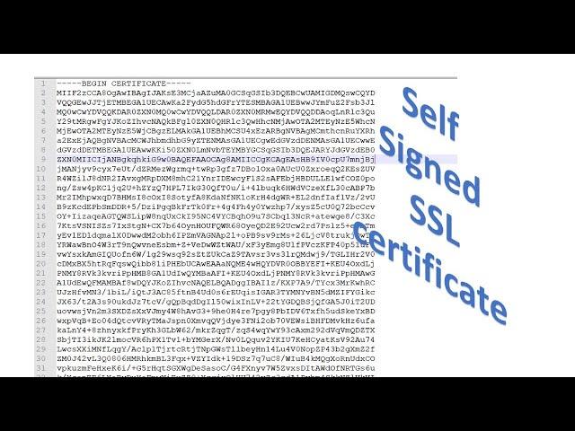 How to create self signed SSL certificate using OpenSSL