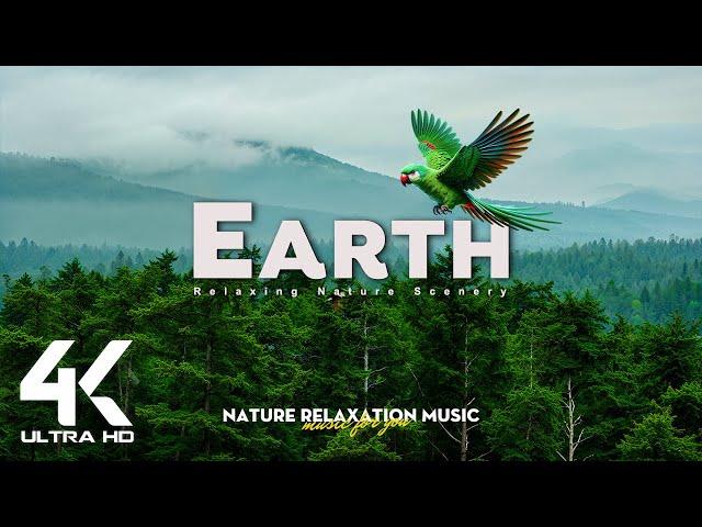 Earth 4K - Relaxing Nature Scenery with Calming Music