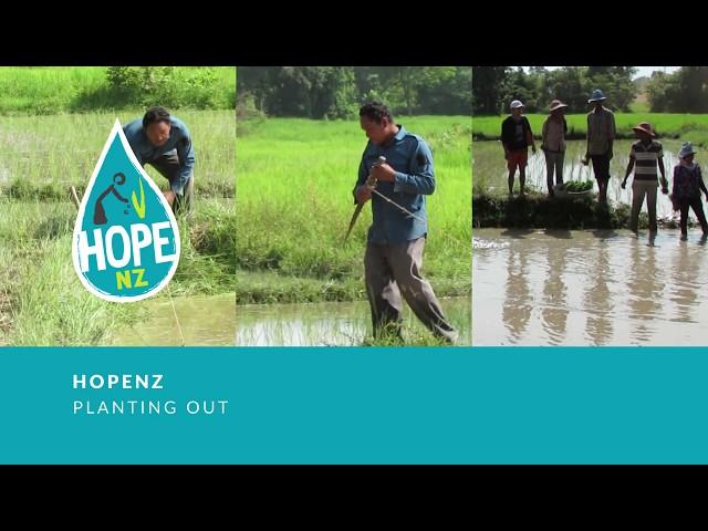 HOPENZ   Planting Out Cambodia