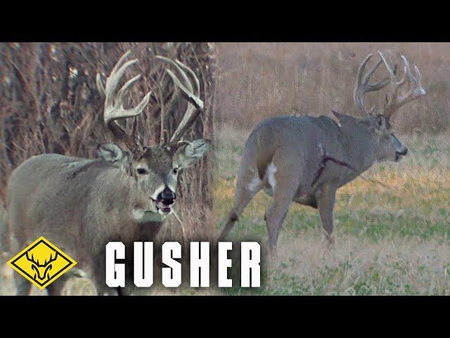 GUSHER | 8.5yr Old Buck at 20 yards (Graphic Warning)