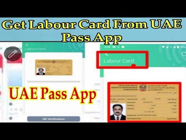 How to Get labour Card using UAE Pass|how to get labour card|Mohre|