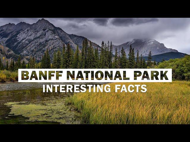 Top 15 Amazing Facts About Banff National Park