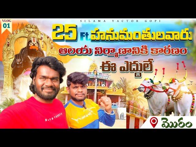 25 Ft.Hanuman Statue | Sri Anjaneya Swamy Temple | Morum | Telugu Vlogs