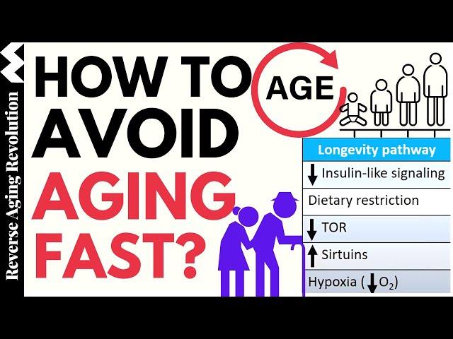 How To Avoid AGING FAST? 1 Common Element Behind 5 Major LONGEVITY PATHWAYS