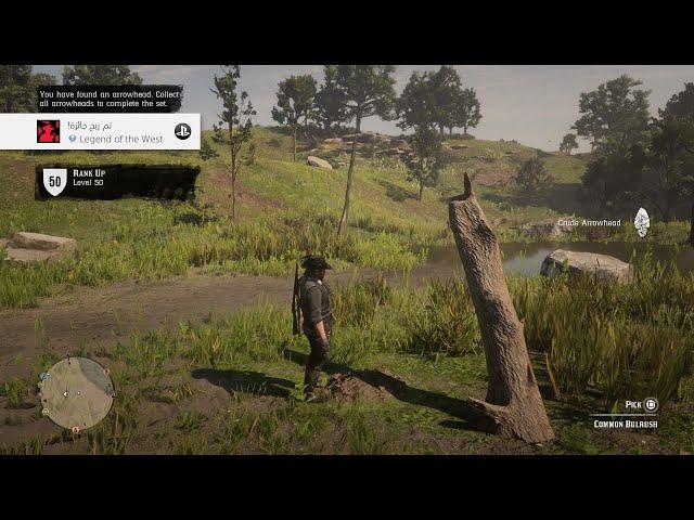 RDR2 - Legend Of The West Platinum trophy 