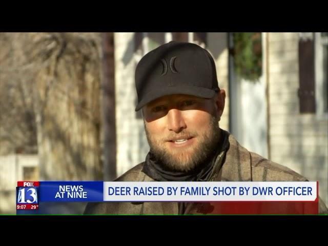 Deer Raised by Utah Family Survives After Being Shot by DWR Officer