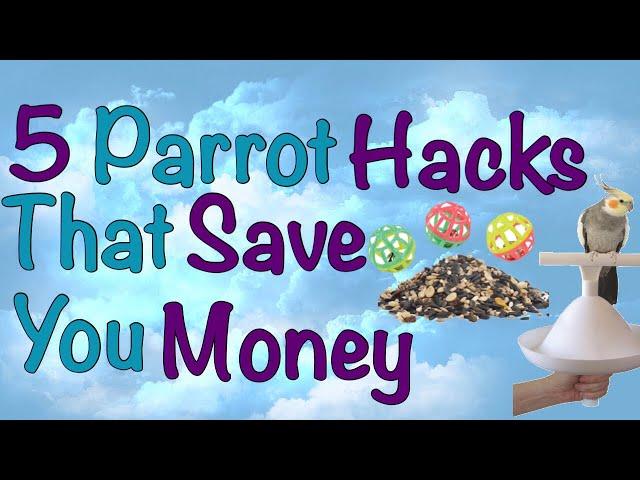 5 Bird Hacks That Save You Money And Time