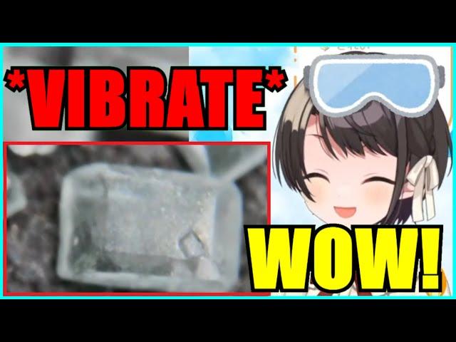 【Hololive】Subaru's Voice Vibrates The MicroWorld 【Eng Sub】