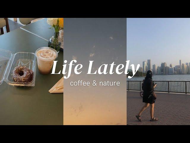 Spending more time in nature | Life lately, visual diary | Bee Danise