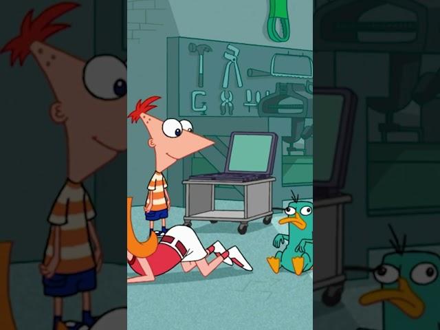 Switching bodies with Perry the Platypus may lead to a smell . #PhineasandFerb #DisneyXD
