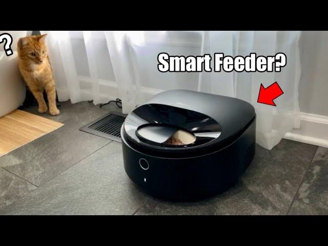 This Petlibro Polar Smart Wet Food Feeder Is Pretty Crazy…