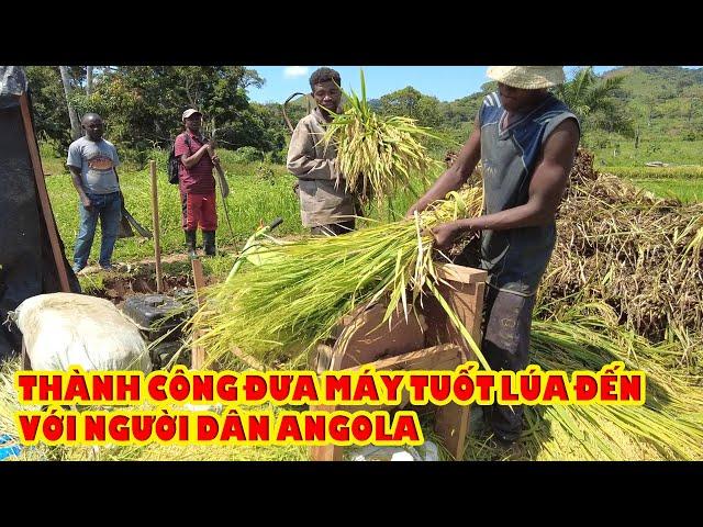 Thành công đưa máy tuốt lúa đến người dân angola || Tony Phong cuộc sống Châu Phi
