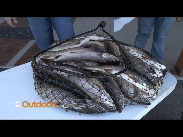 Jigging Up Lake Trout Pups for Population Control at Flaming Gorge