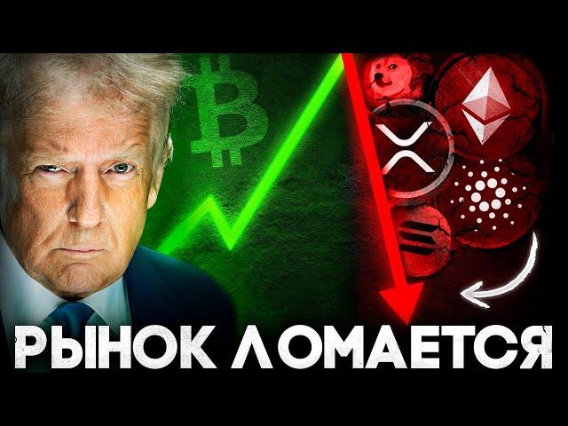 Bitcoin On the Summit of Alticonis Sleeping! Cryptocurrency Prediction What’s Next ?