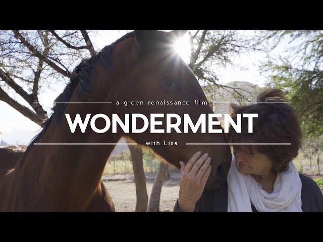 Wonderment