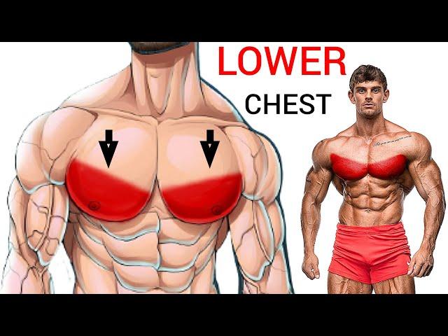 8 World's Best Lower Chest Workout Exercises Gym