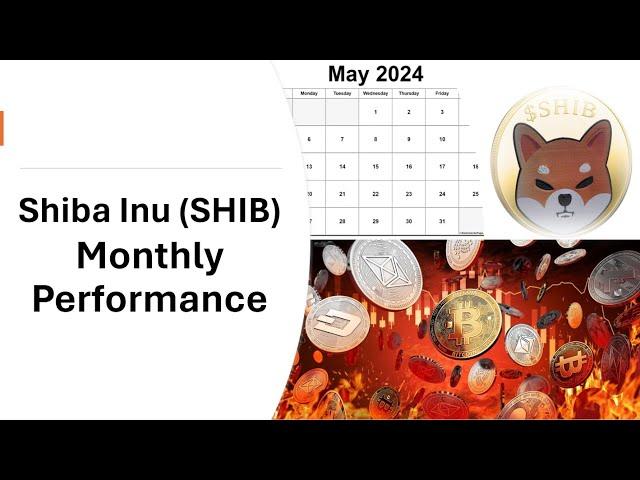 Shiba Inu (SHIB) May 2024 Price Action