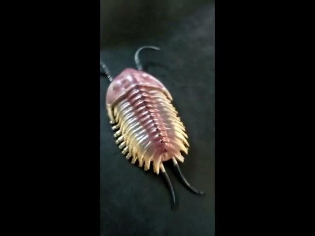 All trilobite toys