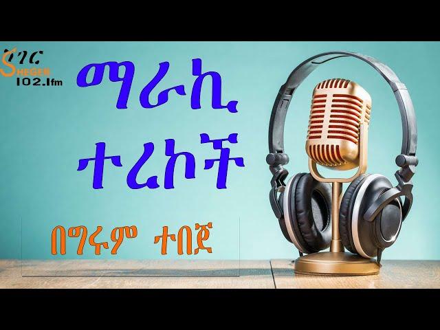 Sheger Shelf  - ማራኪ ተረኮች - በግሩም ተበጀ / ሸገር ሼልፍ New Video