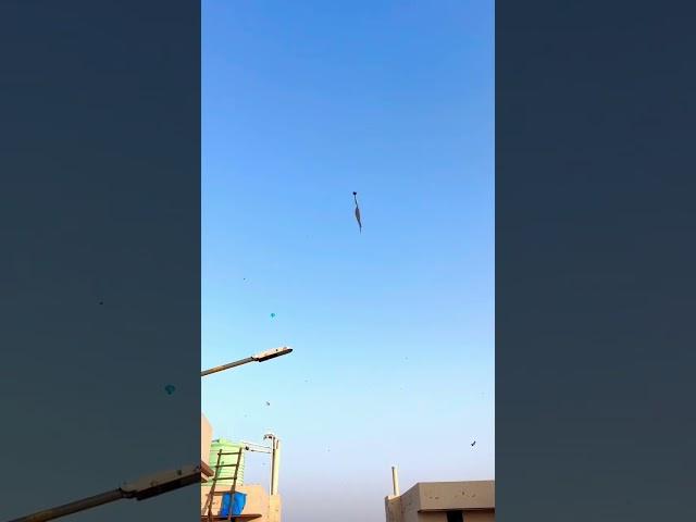 Wait for the endkite flying🪁in Amritsar️ #amritsar #kiteflying #kite #subscribe #viral #shorts