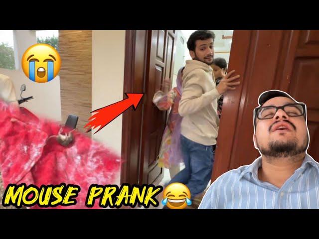 Sab k sath prank karna fail ho gayalala ki wajy sy mouse mar gayabichaara