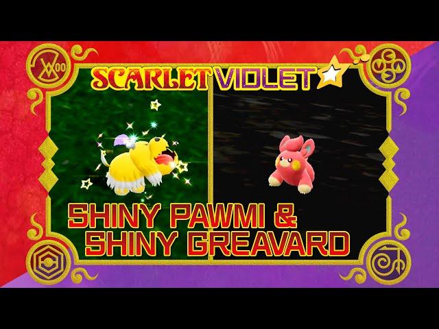 [LIVE!] SHINY GREAVARD and SHINY PAWMI in Area Zero!!! (Pokemon Scarlet Violet)