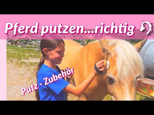 Pferd Putzen?  Darauf solltest du achten!