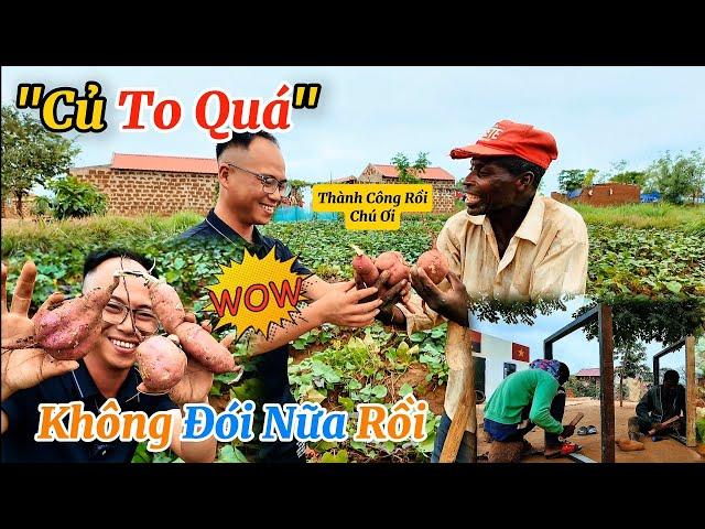 Ruộng Khoai Lang Đầy Củ - Cả Bản Vỡ Òa Niềm Vui - Không Còn Lo Đói Nữa Rồi | Huy Khánh Vlogs