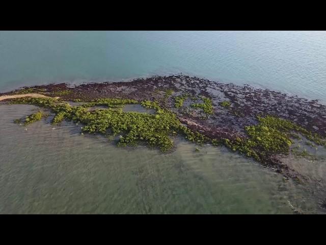 Mavic Pro Darwin and wurrumiyanga