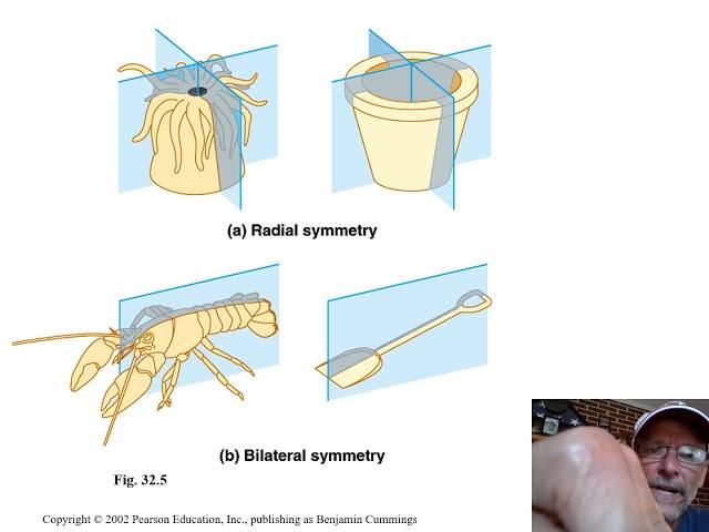 Classification video lecture 2