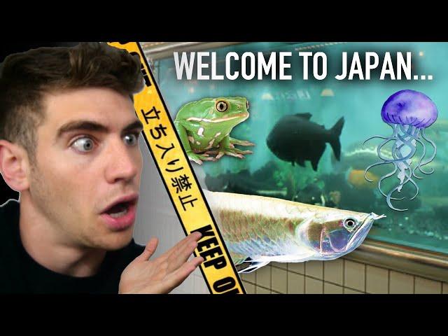 LARGEST AQUARIUM STORE IN JAPAN TOUR!!