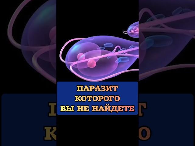 Паразит, которого не найдешь #врач #паразиты #глисты #здоровье #масгутов #здоровоепитание