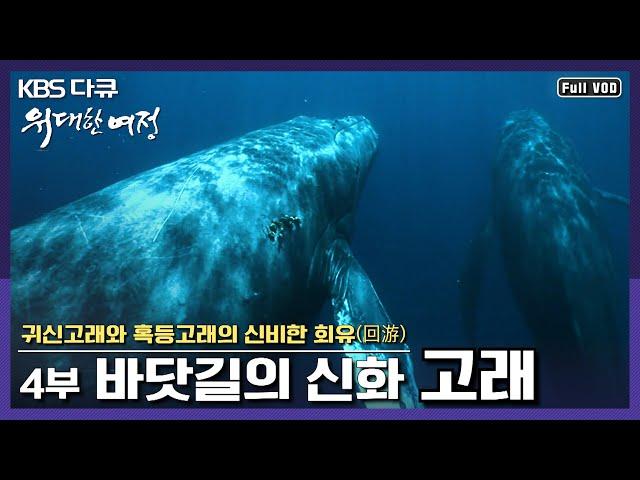 [명작다큐] 새끼를 낳기 위해 7000km를 이동하는 고래의 신비 | [위대한 여정] 4부 “바닷길의 신화, 고래” (KBS 080130 방송)