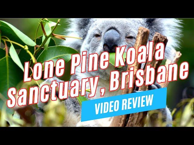 Things to Do at LONE PINE KOALA SANCTUARY, Brisbane, Australia | Video Review