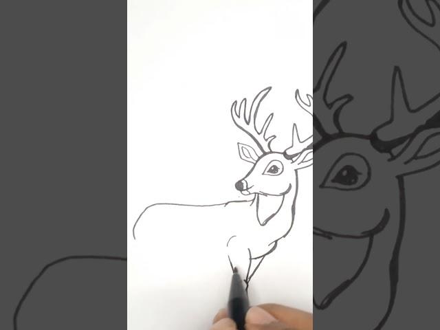 HOW TO DRAW DEER - DRAWING TUTORIAL