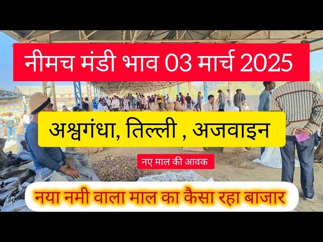 Neemuch Mandi bhav 03 मार्च 2025 | ashwagandha, tilli, Ajwain | price of all crop । Sanjay Dhakad