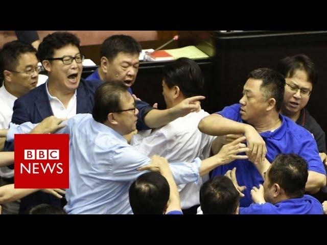 Taiwan's parliament resumes brawl - BBC News